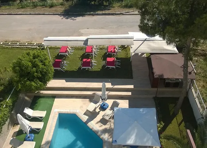 Cheap hotel: Adalia Hotel