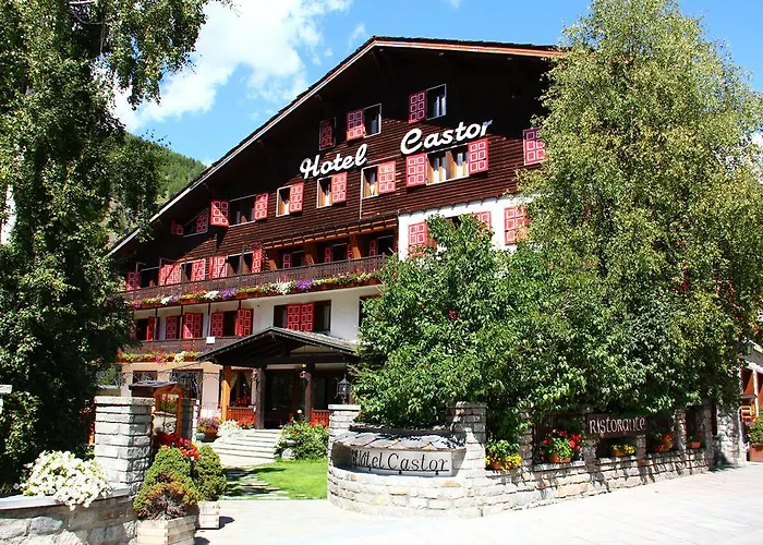  Castor