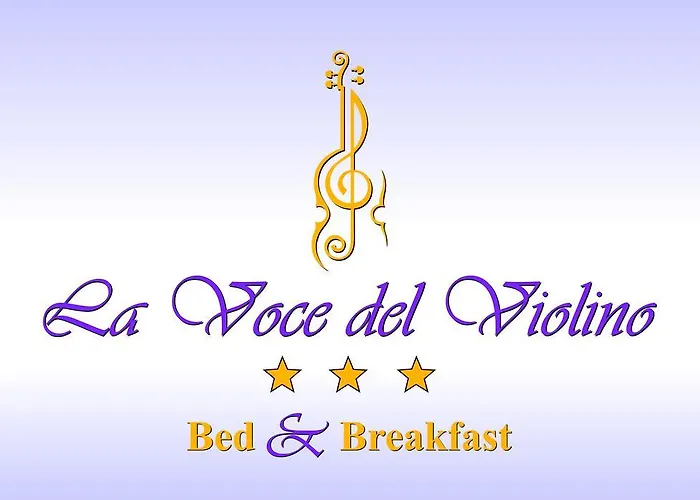  La Voce Del Violino
