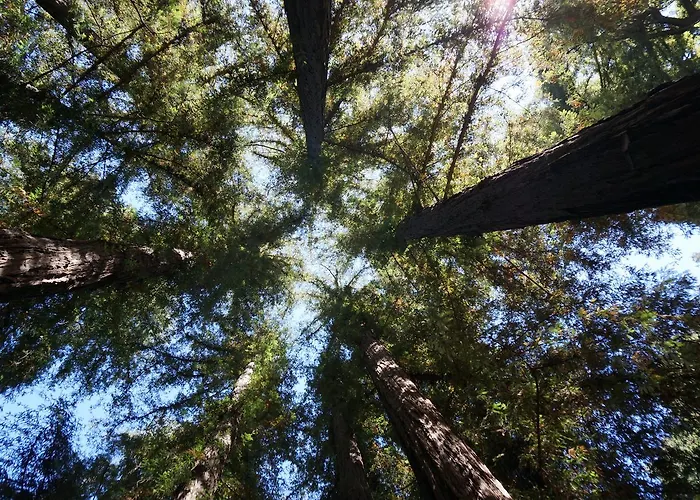 Riverside Campground & Cabins