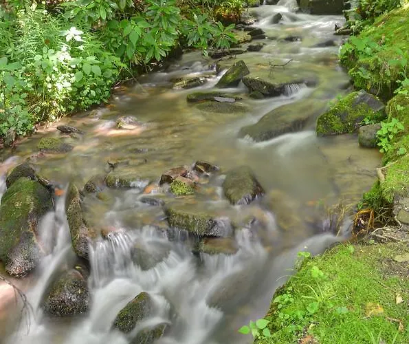 Panther Creek Cabins
