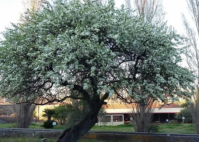 Casa vacanza: Il Pero Selvatico