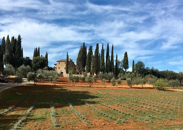 Villa con piscina: La Tenuta di Castelvecchio