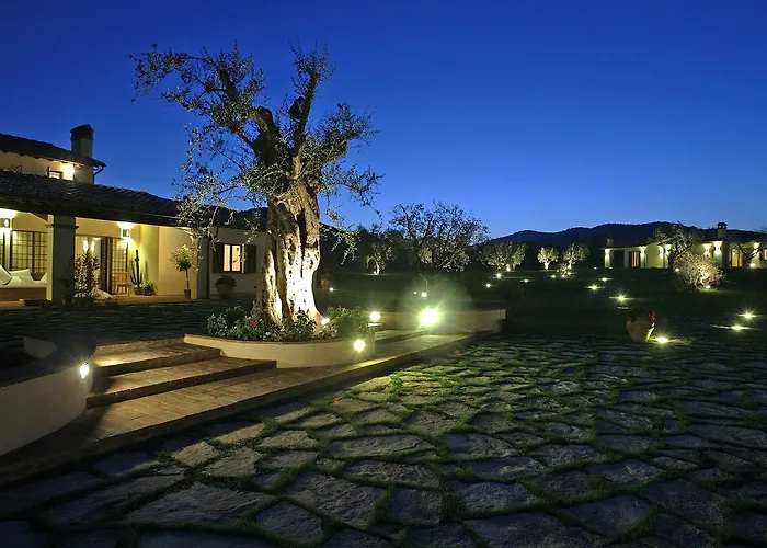 La villa: Il casale degli olivi