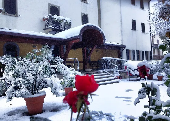 Hotel Ping Pong: Hotel Nuovo Parco