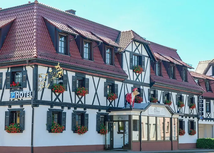 Ochsen