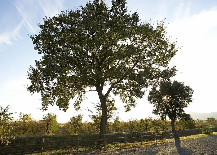 La villa: Agriturismo Lucerna del Lago Prile