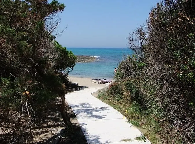 Rosa Marina Frontline