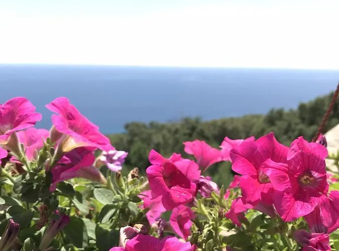 Il Terrazzo - Galatea casa vacanze