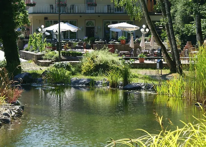 Hotel Alte Muehle