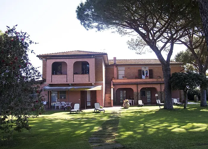 Pavone