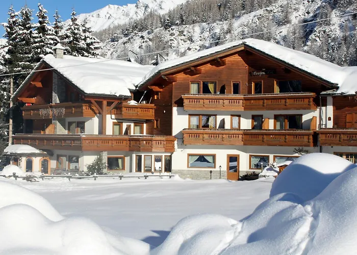 Bouton D'Or - Cogne