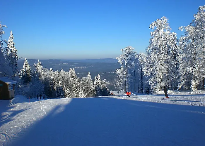 Bayerwaldblockhaus - Chalet in Bayern