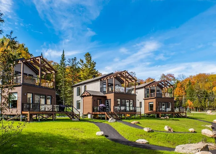 Les s Sauvignon