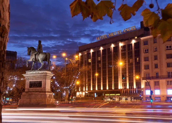 Hotel Miguel Angel