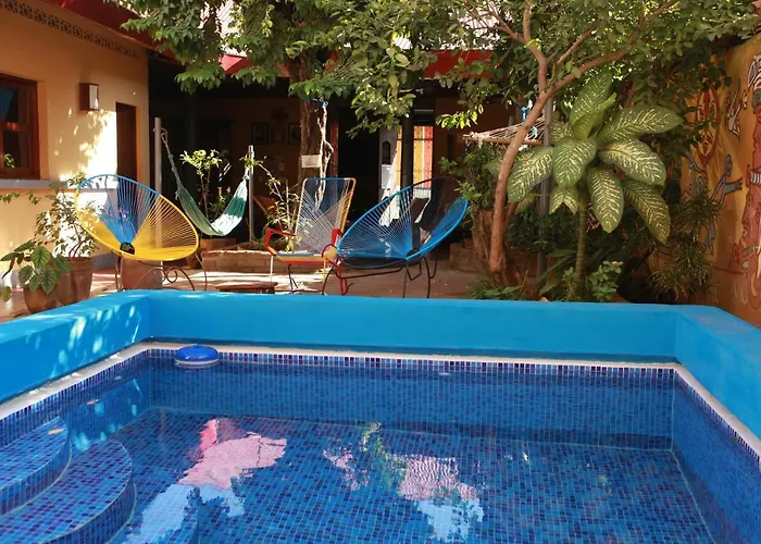 Hostel: Hostal La Tortuga Booluda