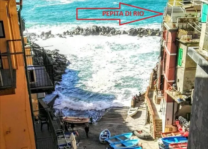 Pepita di Rio