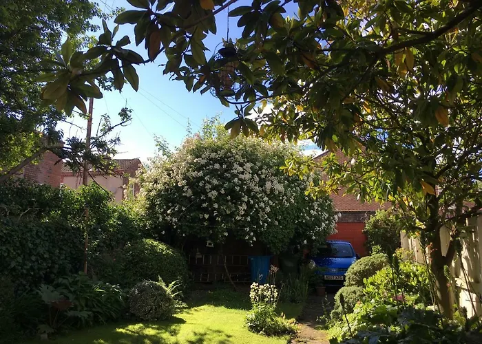 Luchthavenhotel: Square Tree House Hotel