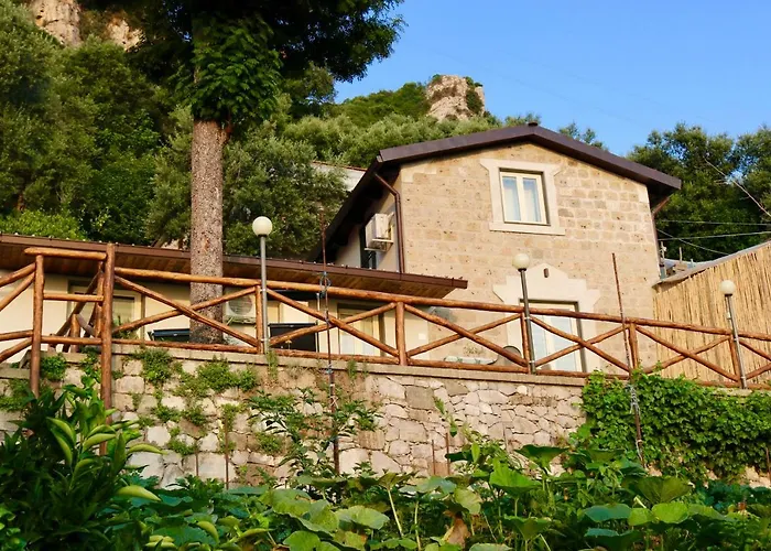 Traulivi