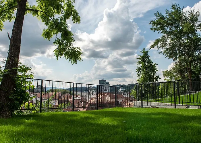 Trip to College Stella Sky