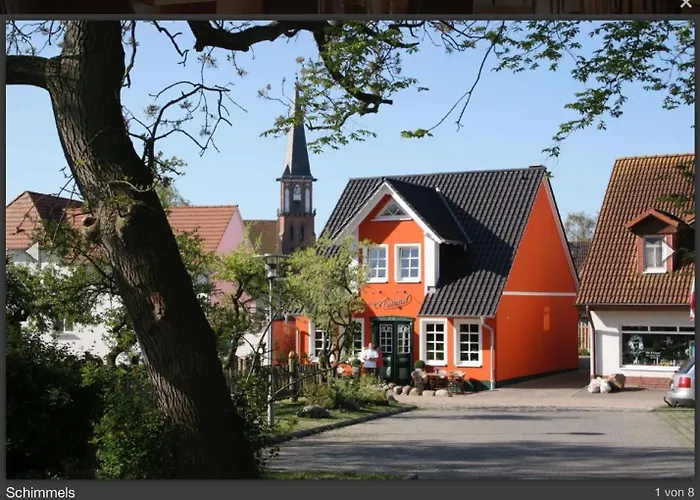 Schimmels