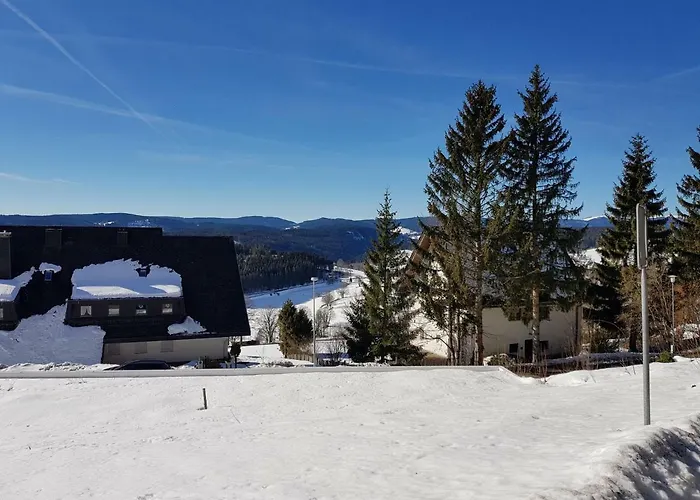 Hotel nahe College: Ferienwohnung Saig