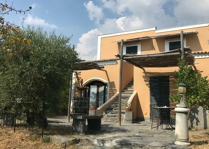 Domus Agricolae Corallina