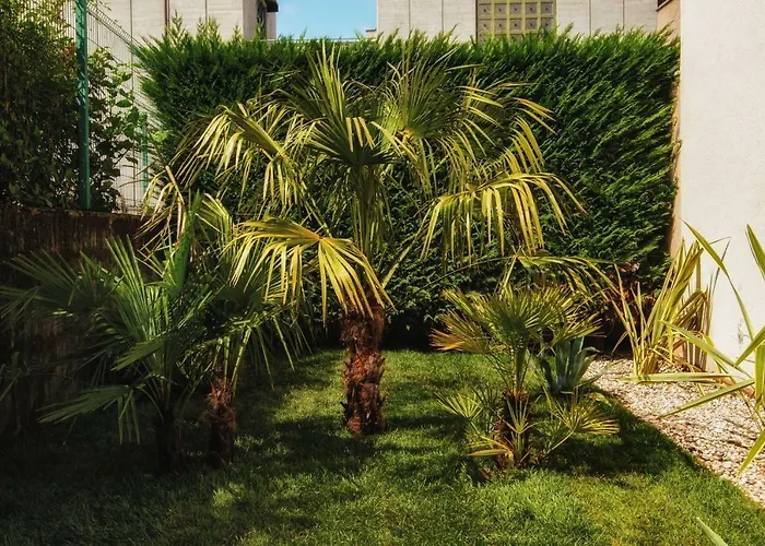 Le Palme City Rooms
