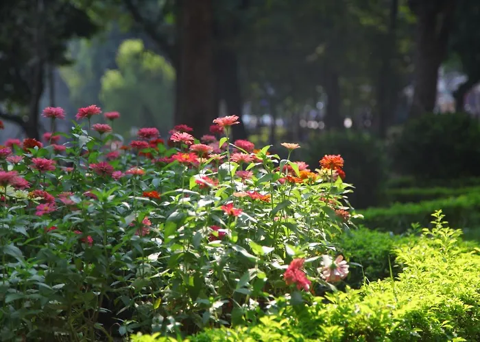 Hanoi Downtown Hostel