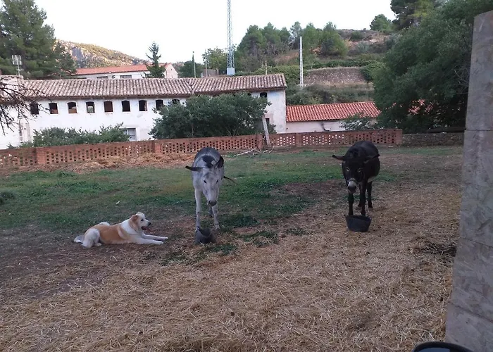 Alquiler de vacaciones: Ca La Mati