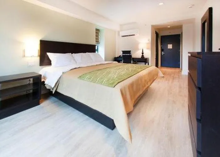 3 star hotel: Comfort Inn & Suites - Kew Gardens Near La Guardia Airport