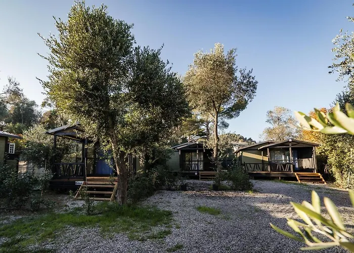 Oasi Camping