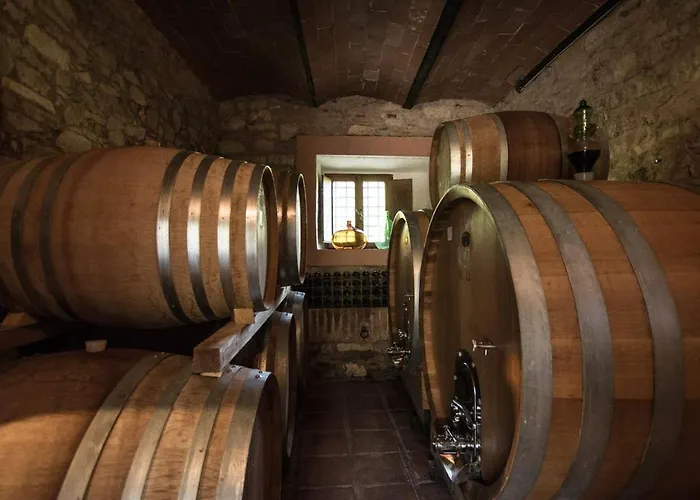 Agriturismo Buondonno